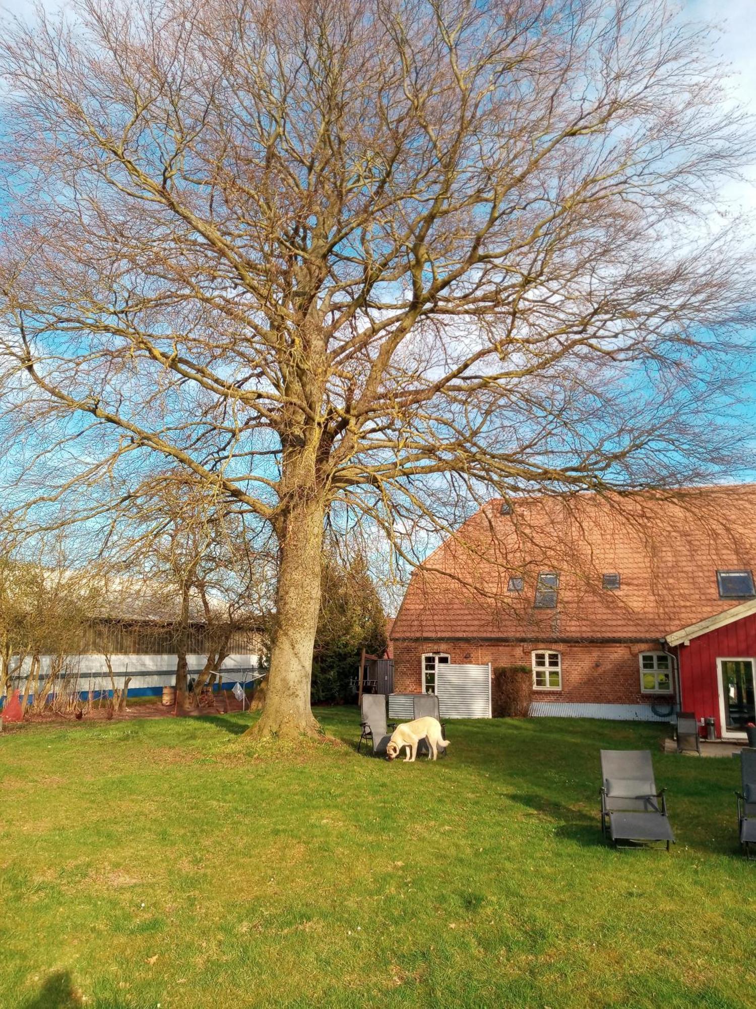 Hotelpension Pfarrhaus Alt Schwerin Bagian luar foto